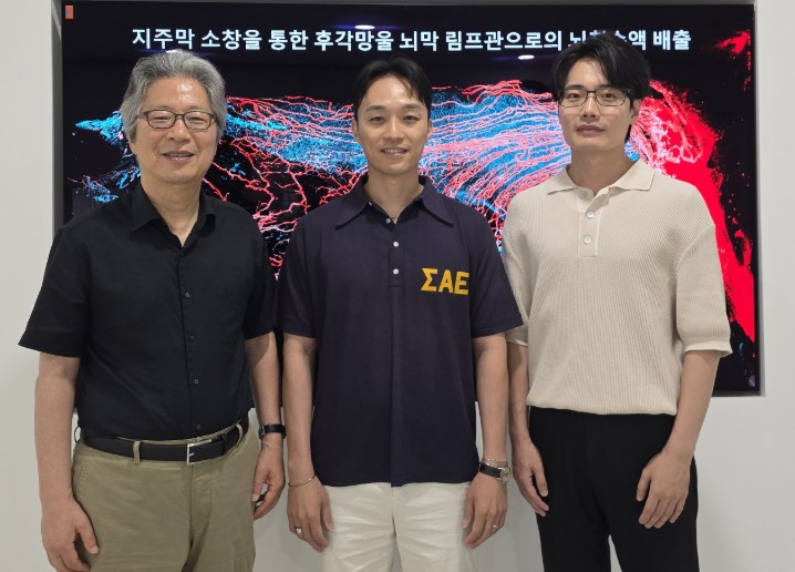 과기정통부, 뇌 노폐물 배출하는 '첫 관문' 발견... 뇌질환 연구 새 전기 마련 기사 이미지